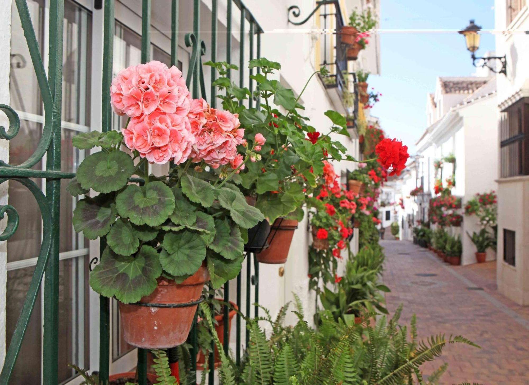 I Am La Posada Hotel And Apartment Benalmádena Exterior foto